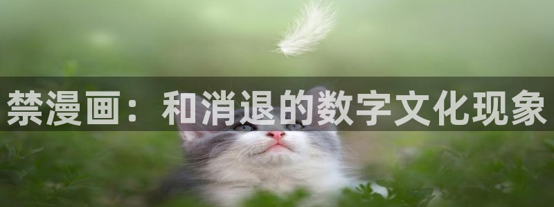 我为邪帝漫蛙漫画：禁漫画：和消退的数字文化现象