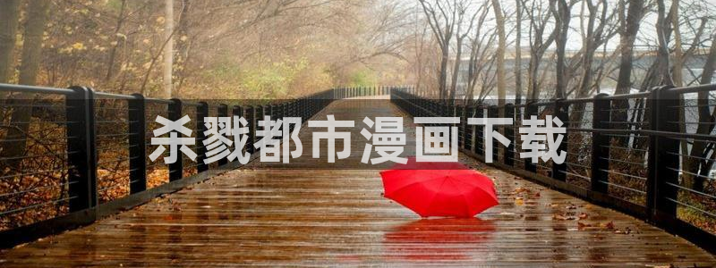 漫蛙怎么登录账号
