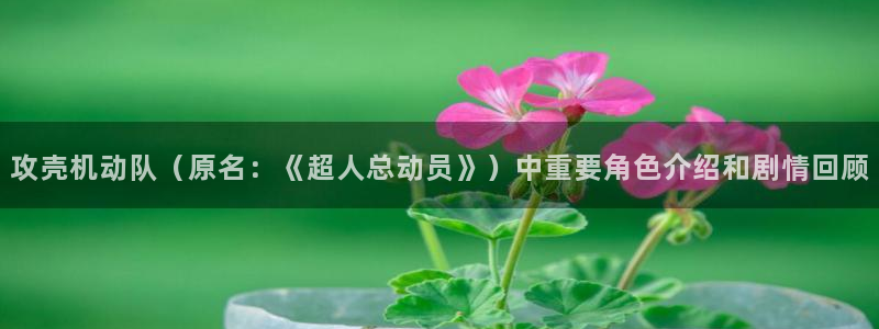 《漫蛙》