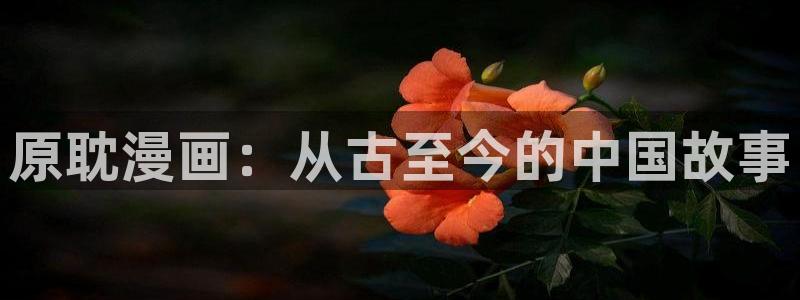 漫蛙外网