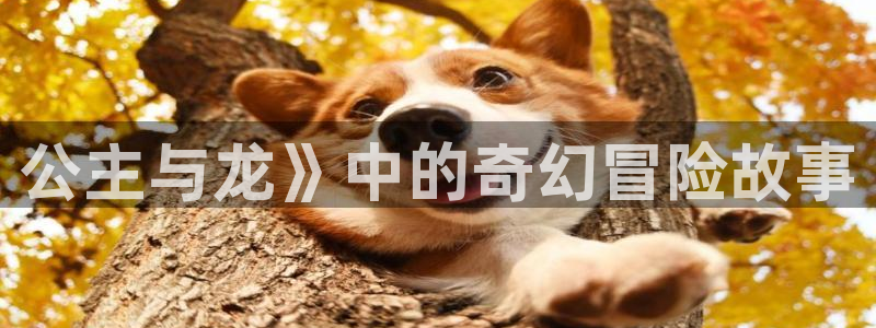 漫蛙正版入口