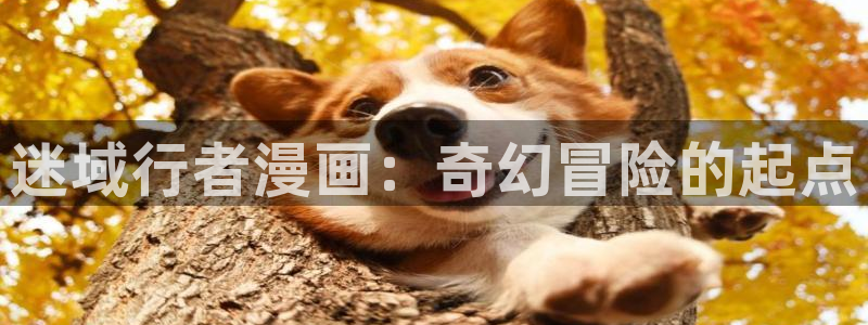 漫蛙manwa防走失站 安卓版