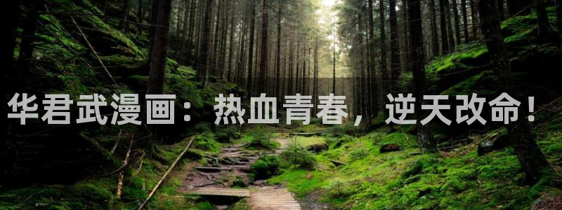 漫蛙网页入口地址