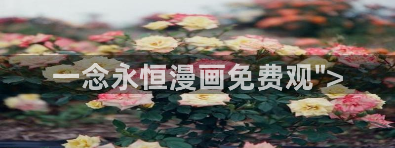 漫蛙漫画免费漫
