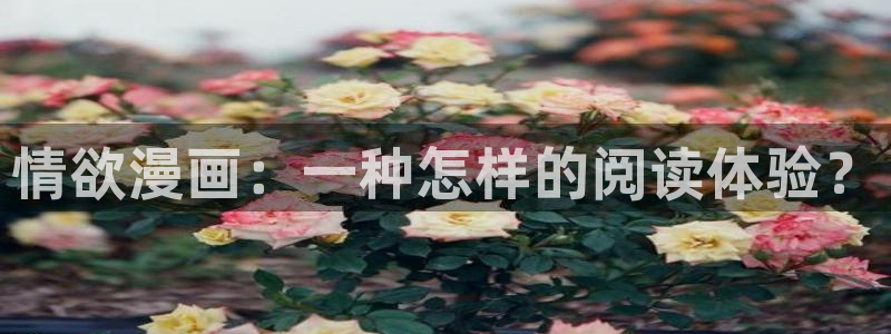 漫蛙manwa2网址