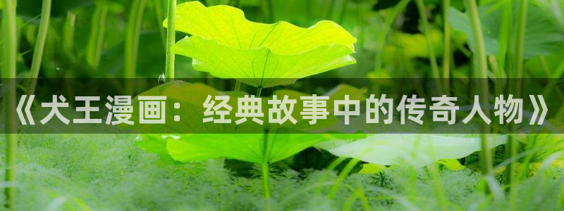 漫蛙漫画首页登录入口