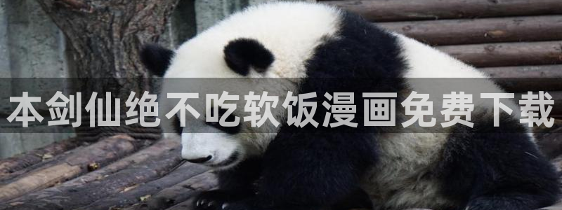 漫蛙防走丢网址