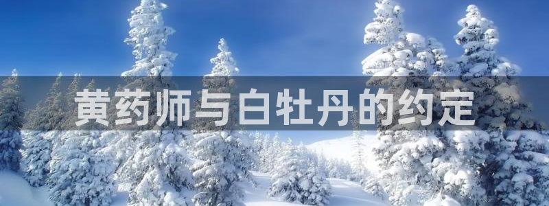 漫蛙网址是什么