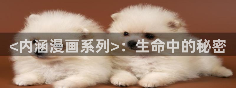 漫蛙最火最热