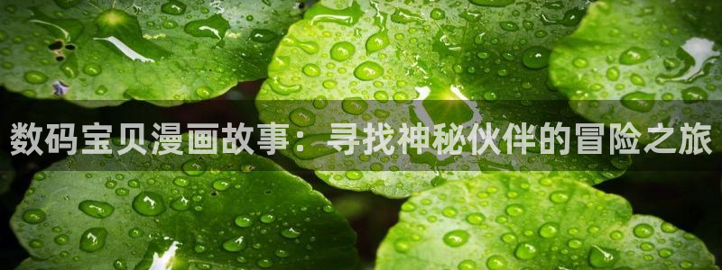 漫蛙老版本