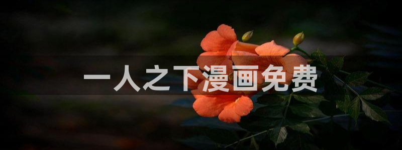 漫蛙manwa官网：一人之下漫画免费