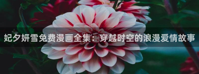 漫蛙漫画官方入口