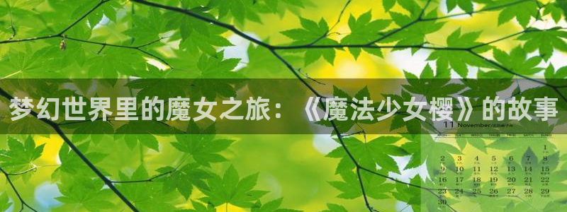 漫蛙下载途径
