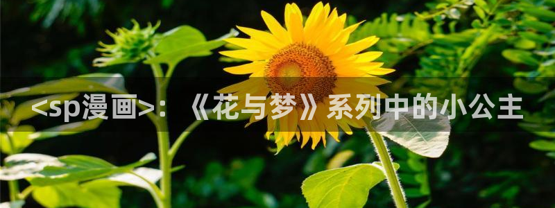 漫蛙是干嘛的