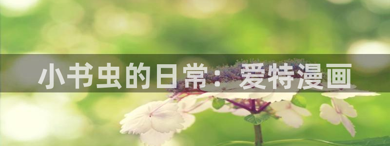 漫蛙漫画(网页入口)漫蛙manwa官网版会