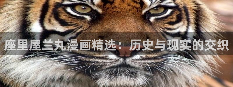 漫蛙漫画在