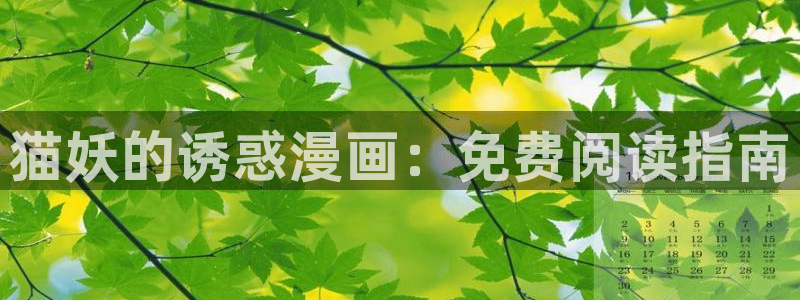 漫蛙怎么找