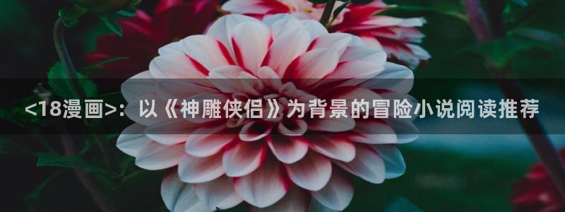漫蛙2下载官网app