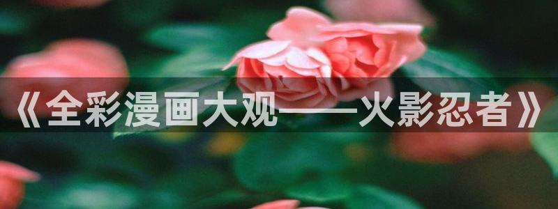 漫蛙2manwa2正版下载安装