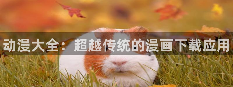 漫蛙manwa2韩漫
