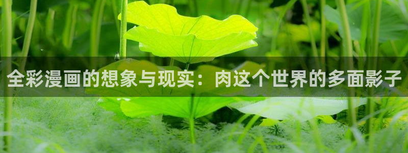 漫蛙漫画(网页版免费)：全彩漫画的想象与现实：肉这个世界的多面影子